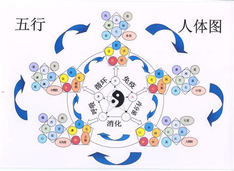 醫療 五行 不大於意思